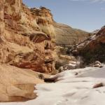 Capital Reef National Park - Utah 